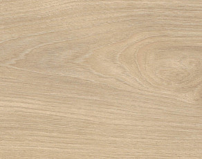 Ламинат Haro Tritty 100 4V Клен Серебрянный Варио 544717 фото 1 | FLOORDEALER