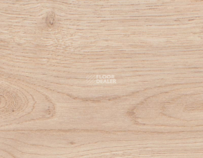 Rooms Suite 242 / 8мм Дуб Луксор золотистый RV822WA фото 2 | FLOORDEALER