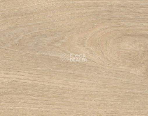 Ламинат Haro Tritty 100 4V Клен Серебрянный Варио 544717 фото 1 | FLOORDEALER