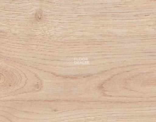 Ламинат Rooms Suite 242 / 8мм Дуб Луксор золотистый RV822WA фото 2 | FLOORDEALER