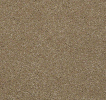 Ковролин Shaw Design Texture Platinum 742 фото 1 | FLOORDEALER