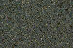 Ковролин Desso Champion 9523 фото  | FLOORDEALER