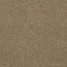 Ковролин Shaw Design Texture Platinum 742 фото 1 | FLOORDEALER