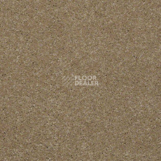 Ковролин Shaw Design Texture Platinum 742 фото 1 | FLOORDEALER