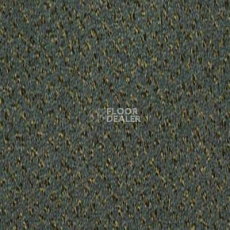 Ковролин Desso Champion 9523 фото 1 | FLOORDEALER