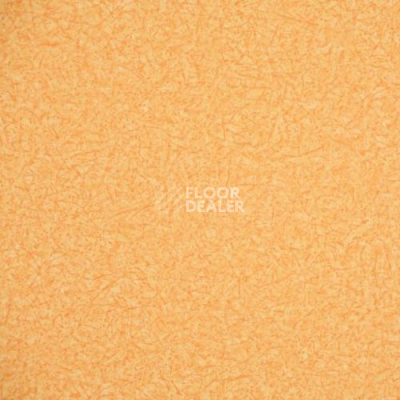 Линолеум Novoflor Extra Ideal 2800-11 фото 1 | FLOORDEALER