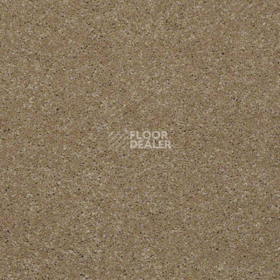 Ковролин Shaw Design Texture Platinum 742 фото 1 | FLOORDEALER