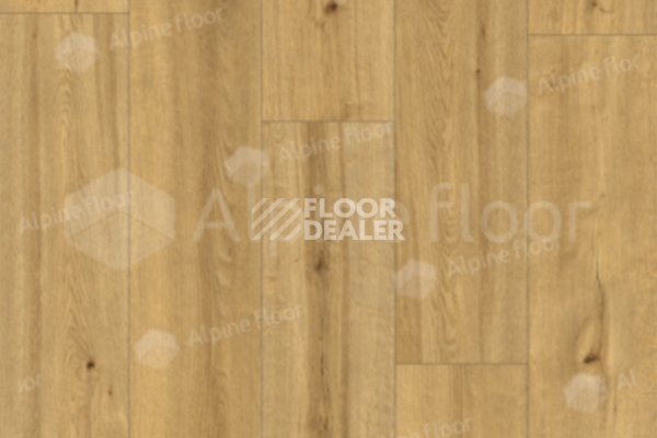 Виниловая плитка ПВХ Alpine Floor by Classen Pro Nature 4мм Soacha 62541 фото 1 | FLOORDEALER