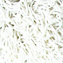 Ковролин Girloon Dream 800  | FLOORDEALER