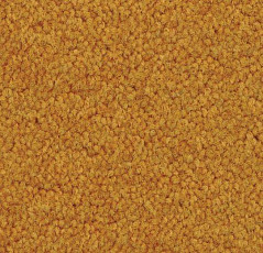 Ковровая плитка Forbo Tessera Acrobat 1328 фото 1 | FLOORDEALER