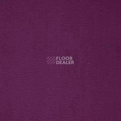 Ковролин Balta ITC Prominent 18 фото 1 | FLOORDEALER