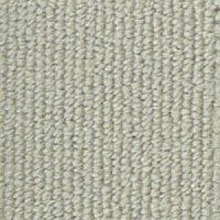 Ковролин Infloor Campus 855 фото 1 | FLOORDEALER