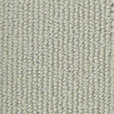 Ковролин Infloor Campus 855 фото 1 | FLOORDEALER