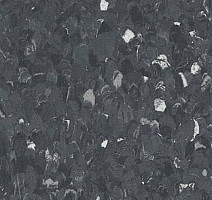 Линолеум Polyflor Prestige Pur 1940 фото 1 | FLOORDEALER