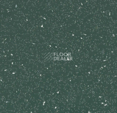 Линолеум Forbo SureStep Original 172072 dark kelp фото 1 | FLOORDEALER