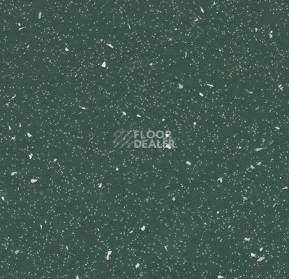 Линолеум Forbo SureStep Original 172072 dark kelp фото 1 | FLOORDEALER