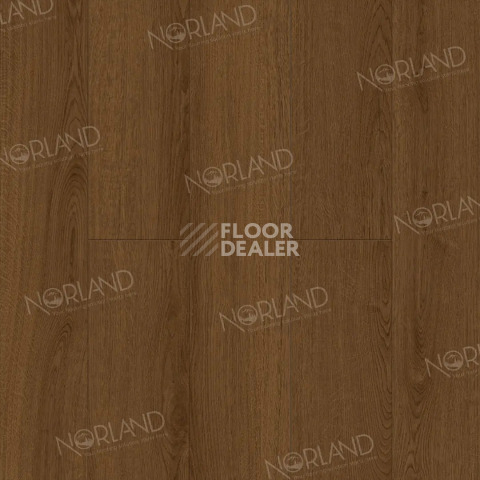 Ламинат Norland Elegant Strong 12мм Дуб Этна LF302-20 фото 1 | FLOORDEALER