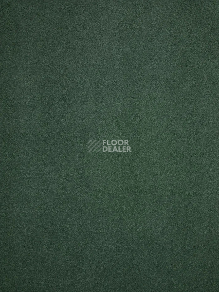 Ковролин Haima Noble 71 фото 1 | FLOORDEALER