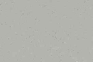 Линолеум Forbo SureStep Original 172182 warm greige фото  | FLOORDEALER