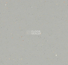 Линолеум Forbo SureStep Original 172182 warm greige фото 1 | FLOORDEALER