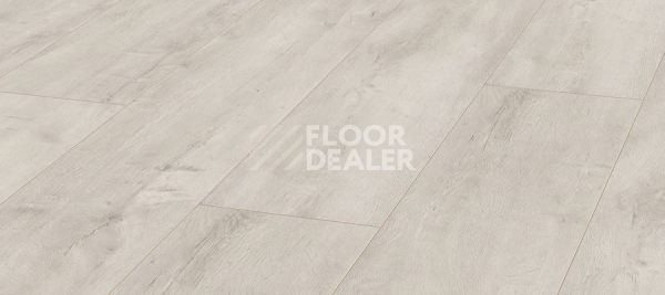 Ламинат Kronotex Exquisit Plus d4984 Дуб Восточный Белый фото 1 | FLOORDEALER