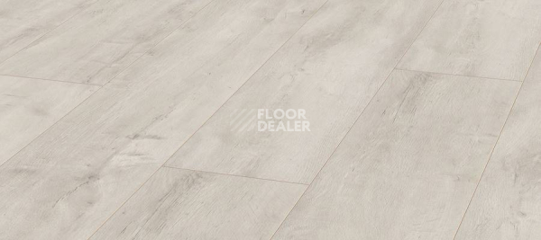 Ламинат Kronotex Exquisit Plus d4984 Дуб Восточный Белый фото 1 | FLOORDEALER