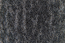 Flotex Colour s 445020 Canyon Pumice фото 2 | FLOORDEALER