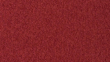 Ковролин Vorwerk Passion 1005 Vorwerk 1m09 фото 1 | FLOORDEALER