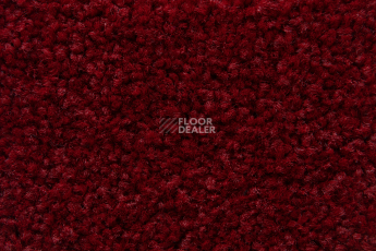 Balsan Serenite 570 фото 2 | FLOORDEALER
