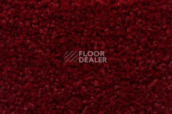 Balsan Serenite 570 фото 2 | FLOORDEALER