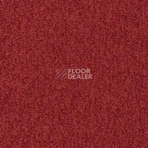 Ковролин Vorwerk Passion 1005 Vorwerk 1m09 фото 1 | FLOORDEALER