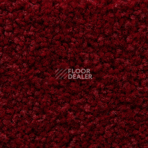 Balsan Serenite 570 фото 2 | FLOORDEALER