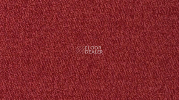 Ковролин Vorwerk Passion 1005 Vorwerk 1m09 фото 1 | FLOORDEALER