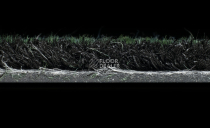 Forbo Coral Welcome 3205 Blue Lagoon фото 6 | FLOORDEALER