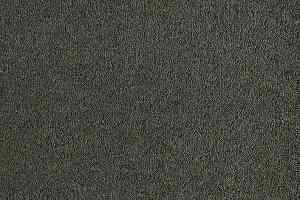 Ковролин Lano Patina 590 Moss фото  | FLOORDEALER