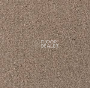Ковролин Big Majesty 333 фото 1 | FLOORDEALER