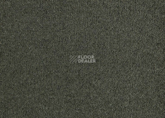 Ковролин Lano Patina 590 Moss фото 1 | FLOORDEALER