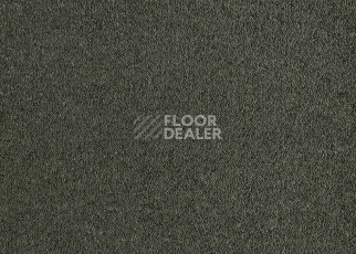 Ковролин Lano Patina 590 Moss фото 1 | FLOORDEALER