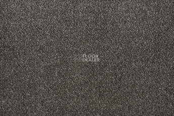 AW Passion AW Passion  43 фото 2 | FLOORDEALER