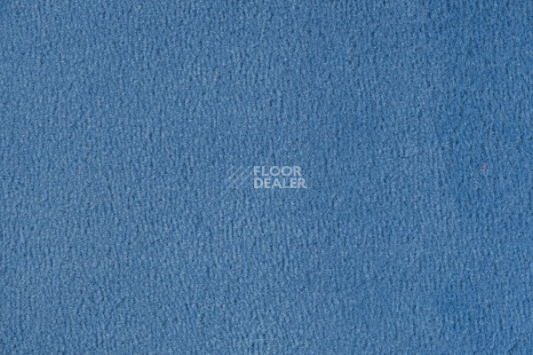 Ковролин Vorwerk Passion 1000/Modena Vorwerk 3h91 фото 1 | FLOORDEALER