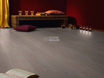 Kronotex Exquisit 8мм d2873 Дуб Вейвлесс Белый фото 4 | FLOORDEALER