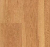 Линолеум Juteks Mega BRINA 5254 фото 1 | FLOORDEALER