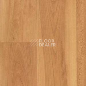 Линолеум Juteks Mega BRINA 5254 фото 1 | FLOORDEALER