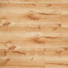 Линолеум Novoflor Extra Amos 3330-51 фото 1 | FLOORDEALER