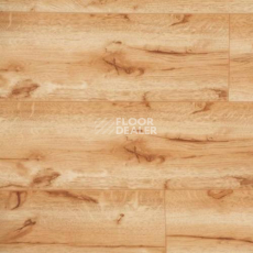 Линолеум Novoflor Extra Amos 3330-51 фото 1 | FLOORDEALER