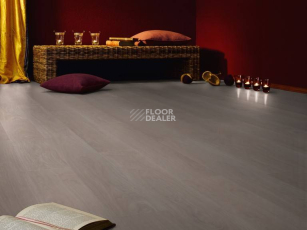 Kronotex Exquisit 8мм d2873 Дуб Вейвлесс Белый фото 4 | FLOORDEALER