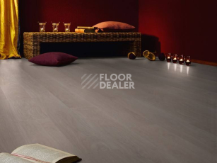 Kronotex Exquisit 8мм d2873 Дуб Вейвлесс Белый фото 4 | FLOORDEALER