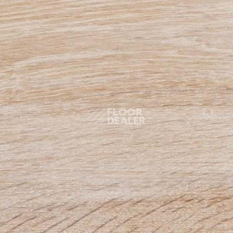 Пробковое покрытие Wood Xl замковое Oak Gekalte New фото 1 | FLOORDEALER