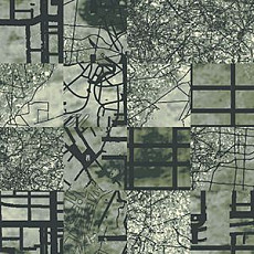 Ege Highline Cityscapes Aerial Map Grey rfm 52205019 фото 1 | FLOORDEALER