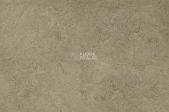 Eco Cork MADEIRA GREY фото 2 | FLOORDEALER
